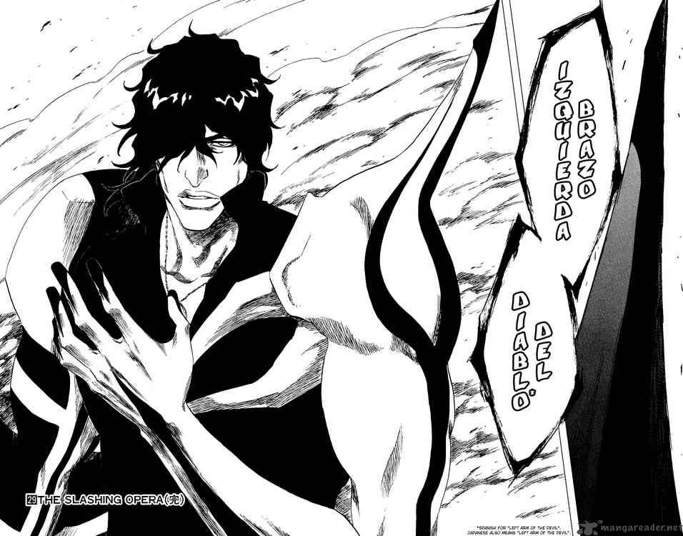 Bleach 260 18