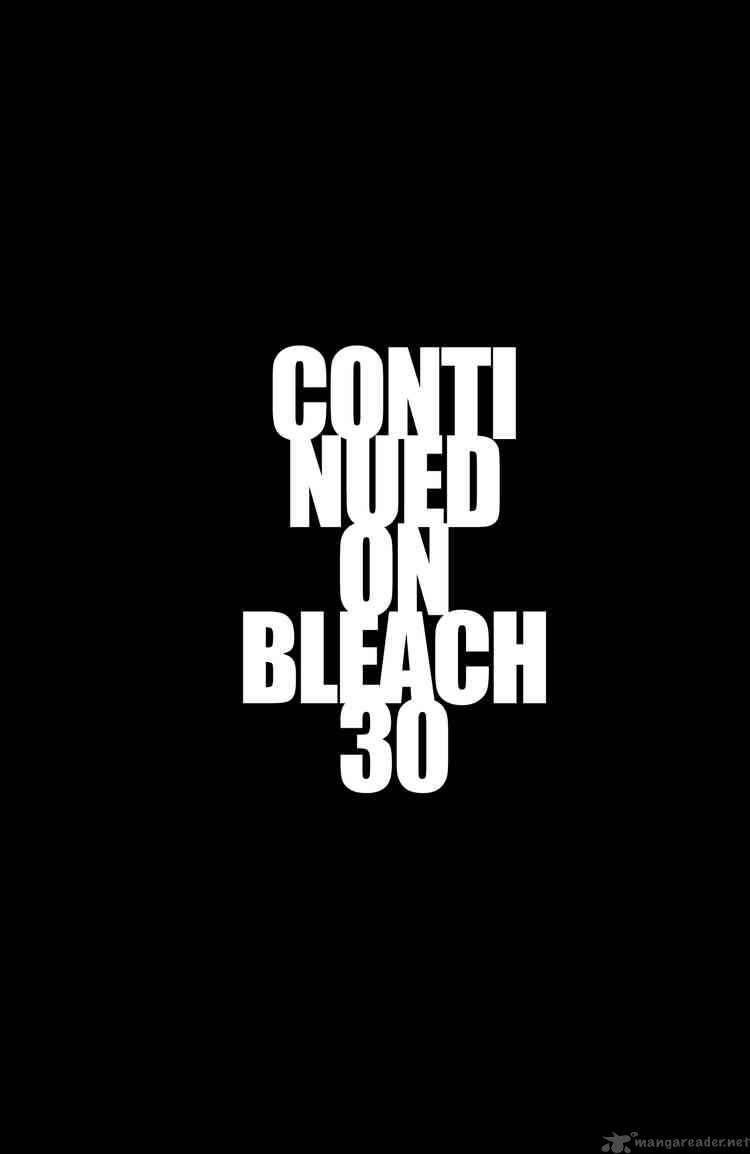 Bleach 260 19