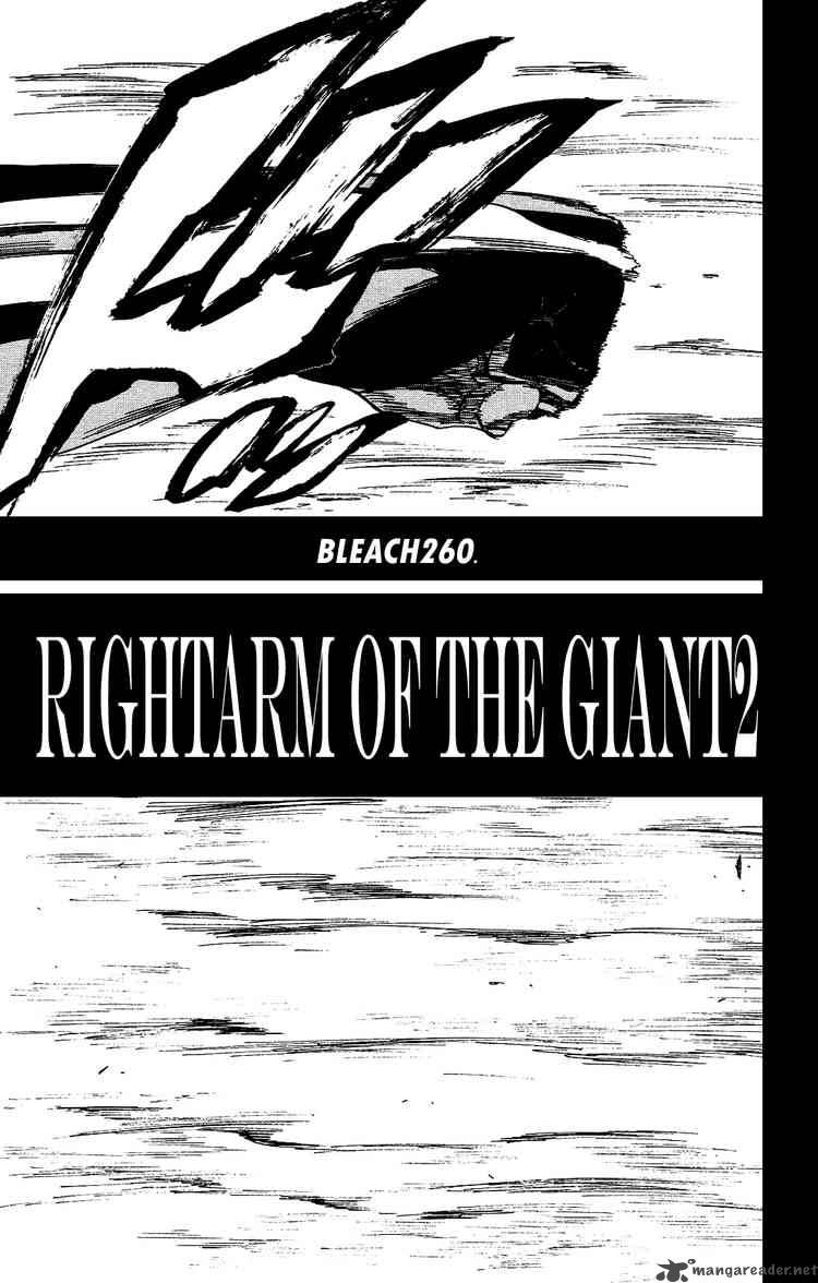 Bleach 260 5