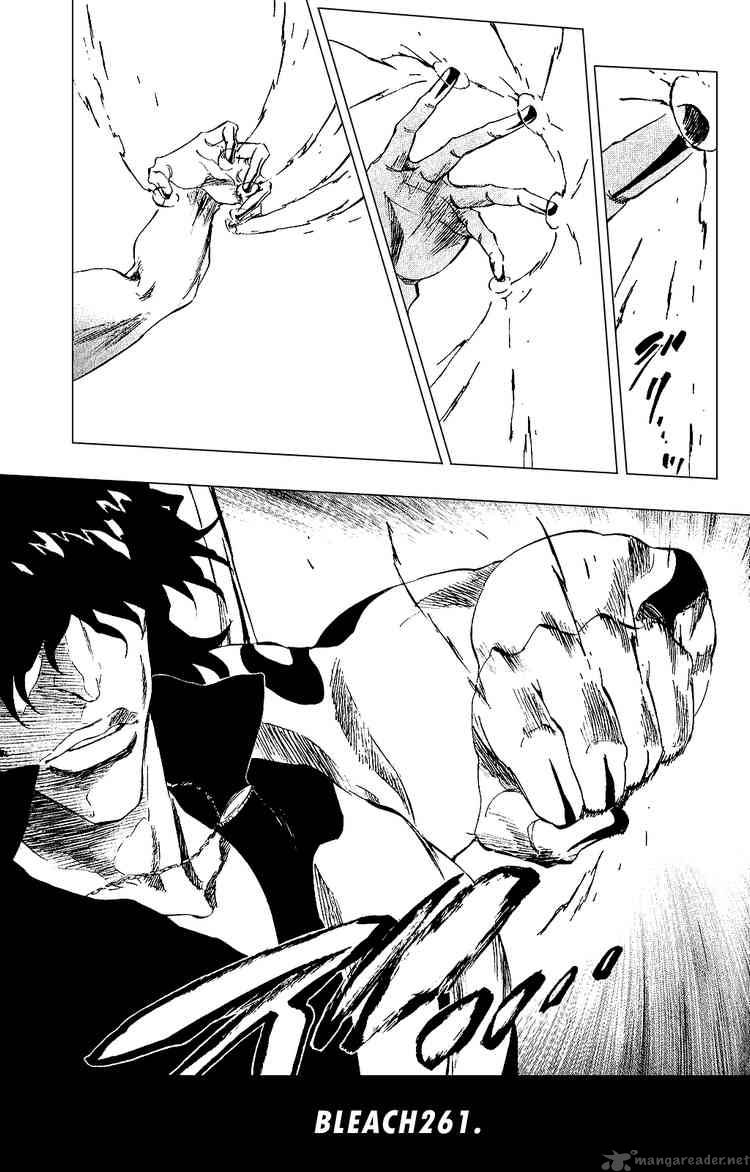 Bleach 261 14