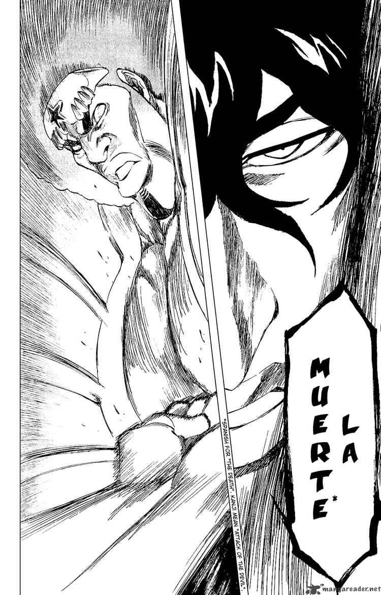 Bleach 261 15