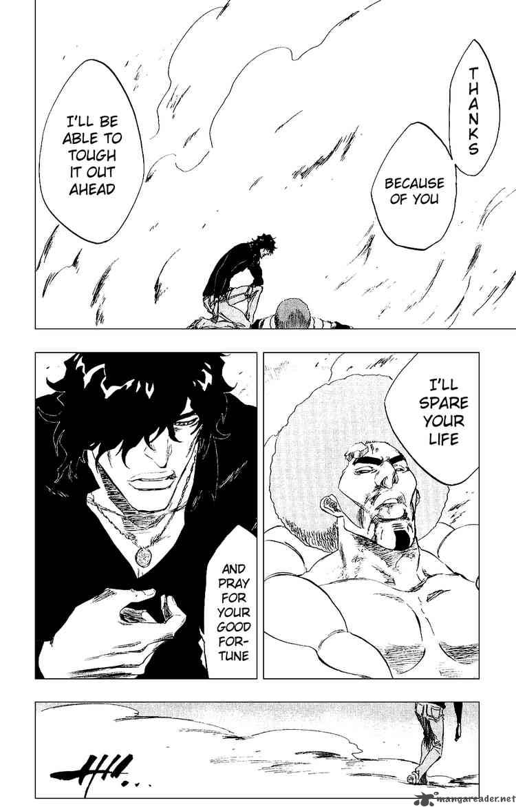 Bleach 261 19