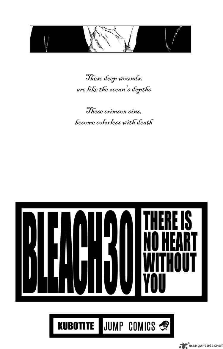 Bleach 261 3