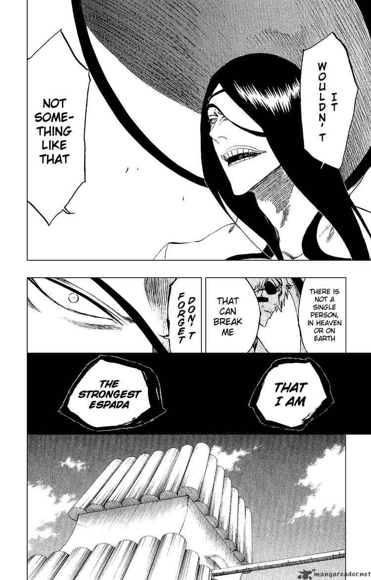 Bleach 263 10