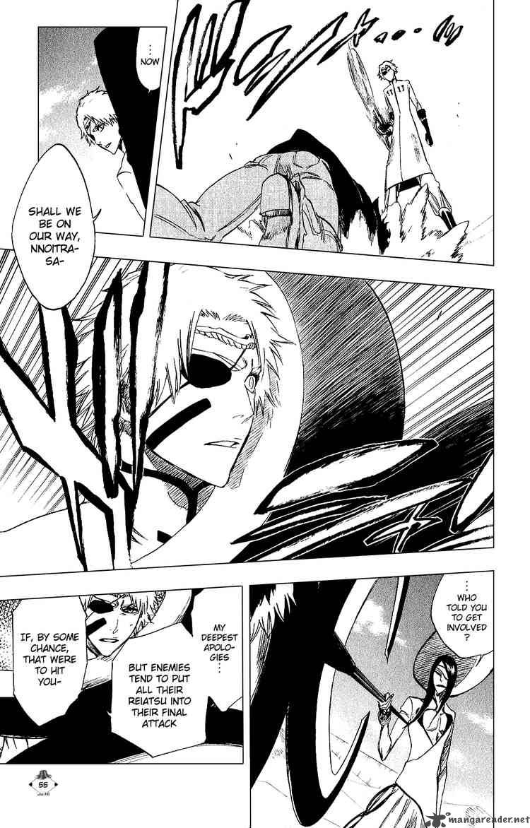 Bleach 263 9