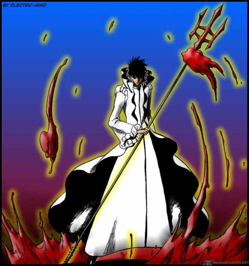Bleach 266 25