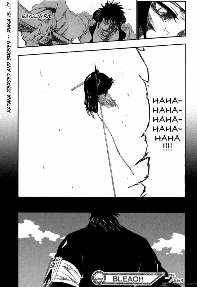 Bleach 267 19