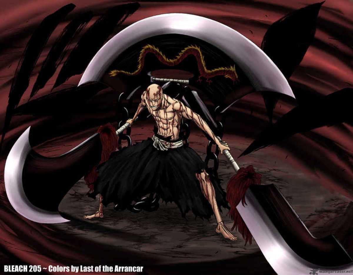 Bleach 267 21