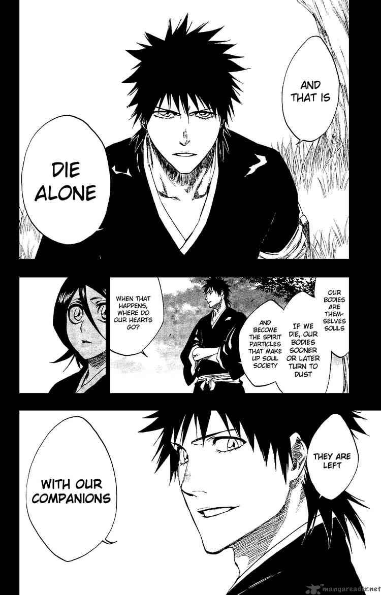 Bleach 268 14