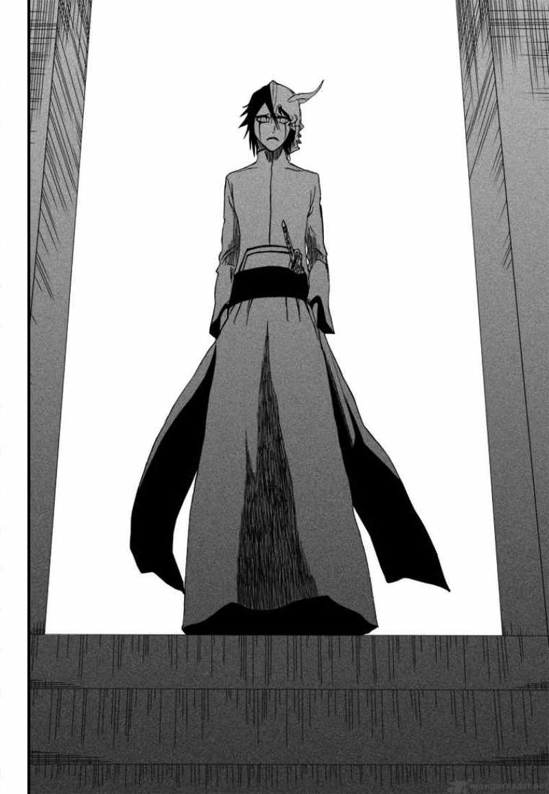 Bleach 269 19