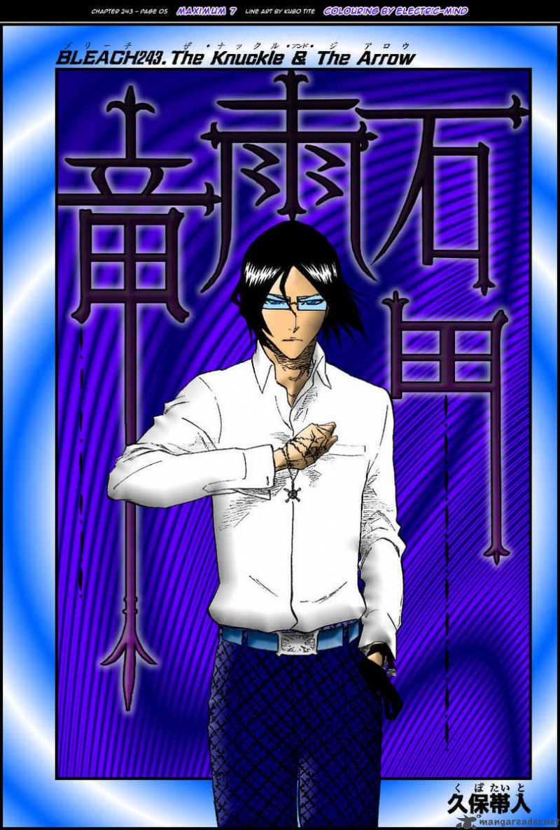 Bleach 269 24