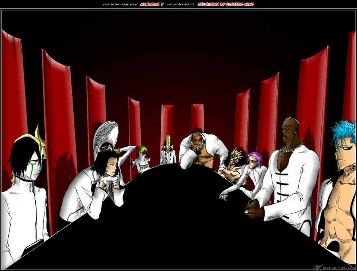 Bleach 269 25