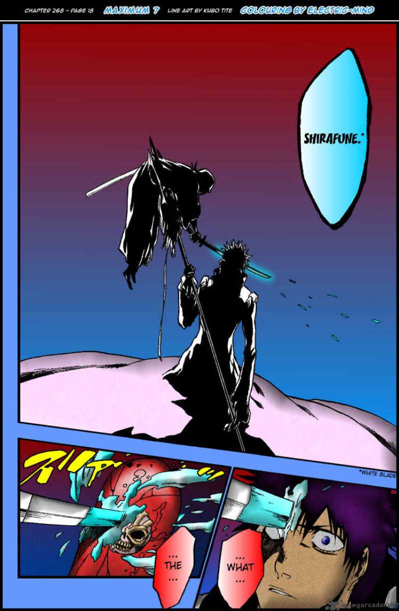Bleach 269 26