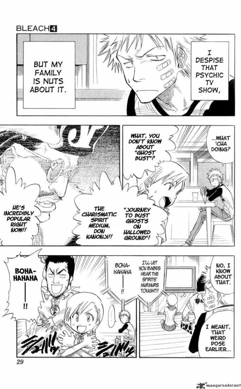 Bleach 27 4