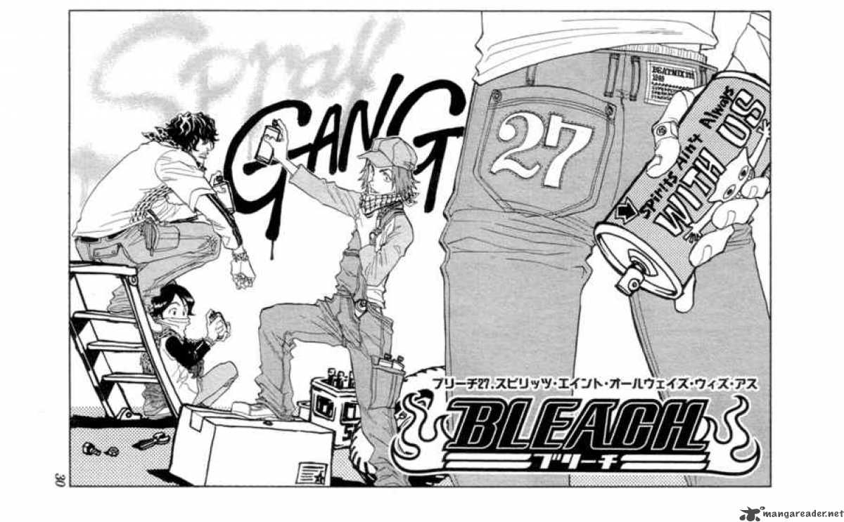 Bleach 27 5