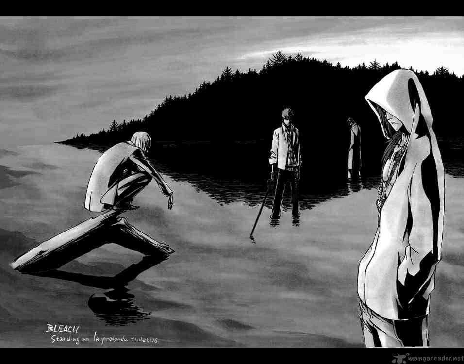 Bleach 270 8