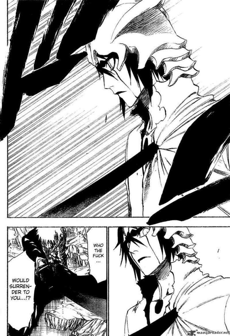 Bleach 271 15