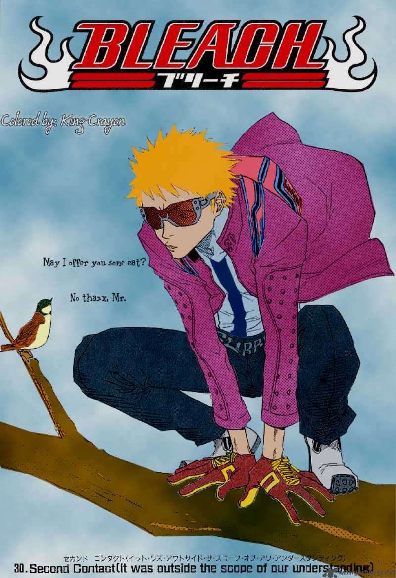 Bleach 271 22