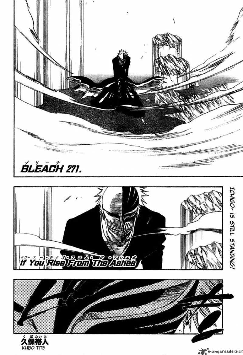 Bleach 271 3