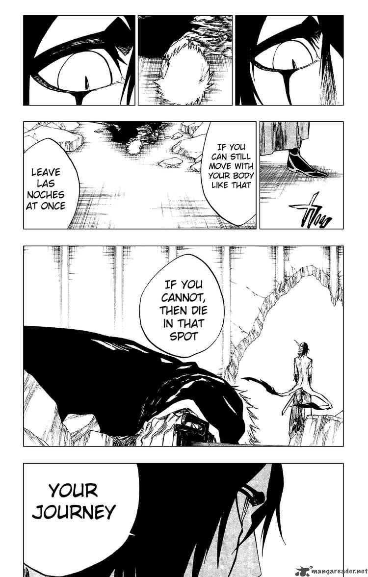 Bleach 272 3