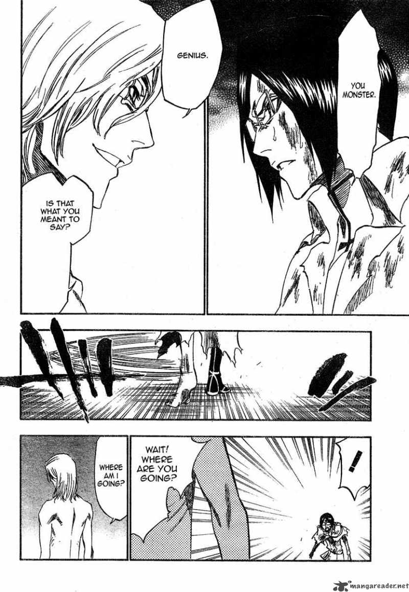 Bleach 276 13