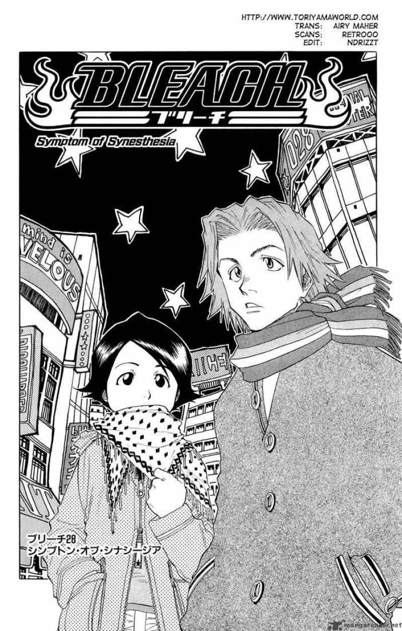 Bleach 28 5
