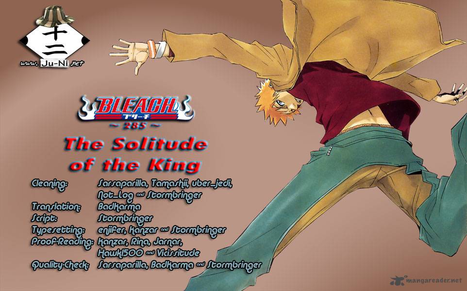 Bleach 285 1