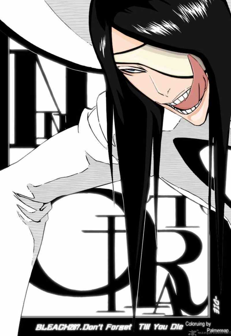 Bleach 288 21