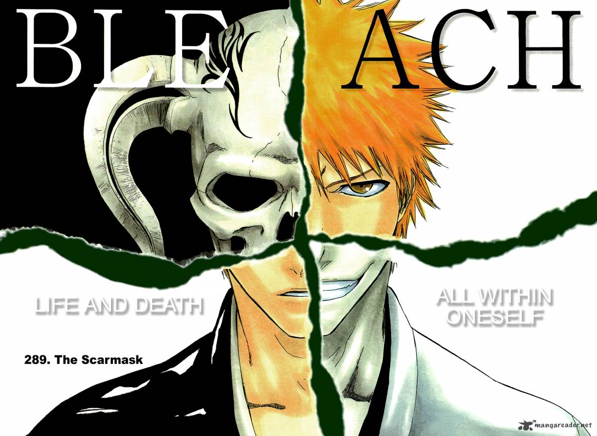 Bleach 289 4