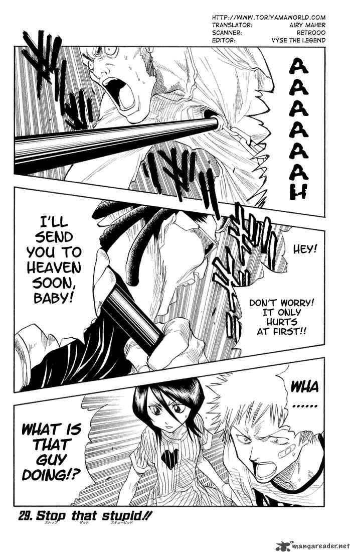 Bleach 29 1
