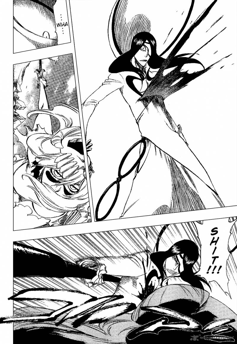 Bleach 291 15