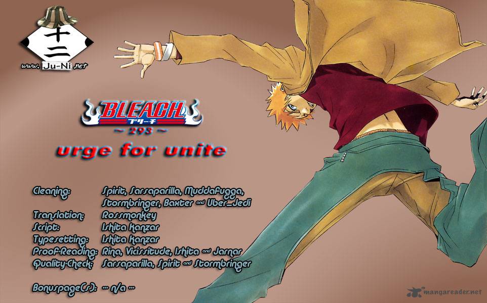 Bleach 293 1