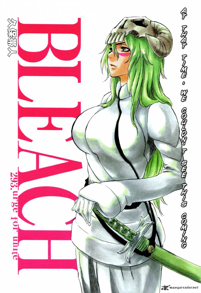 Bleach 293 3