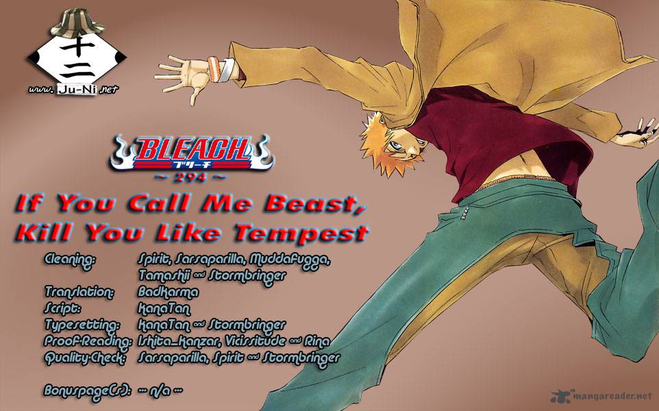 Bleach 294 1