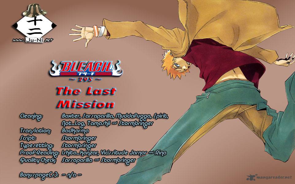 Bleach 295 1