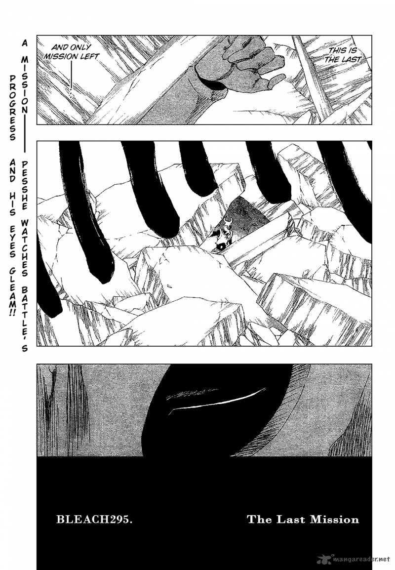 Bleach 295 10