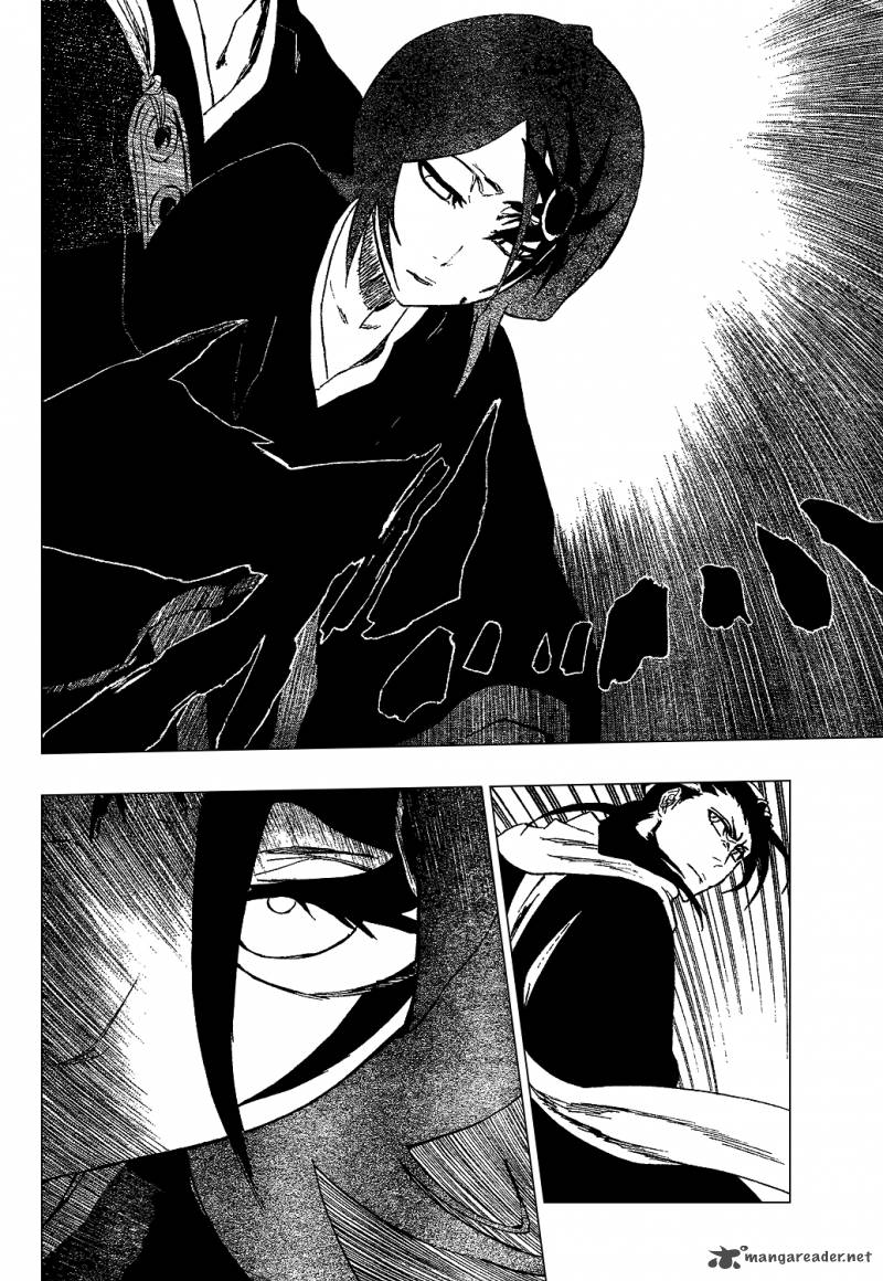 Bleach 301 13