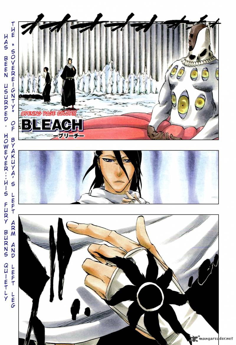 Bleach 301 4