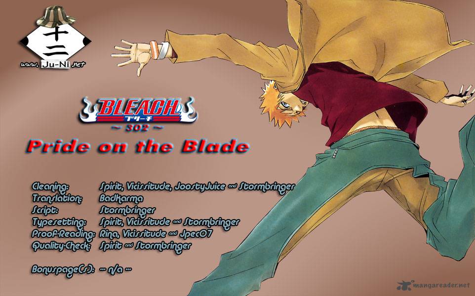 Bleach 302 2
