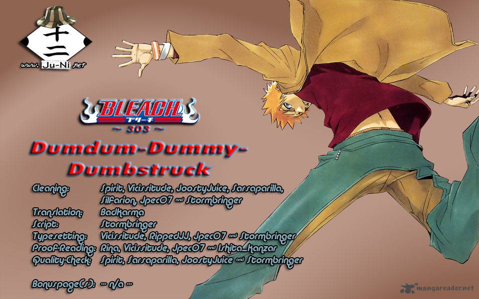 Bleach 303 2