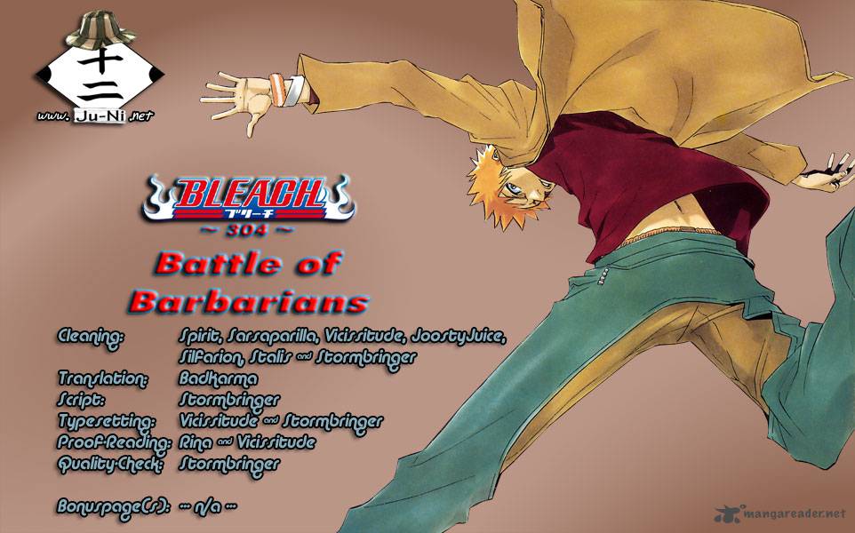 Bleach 304 1