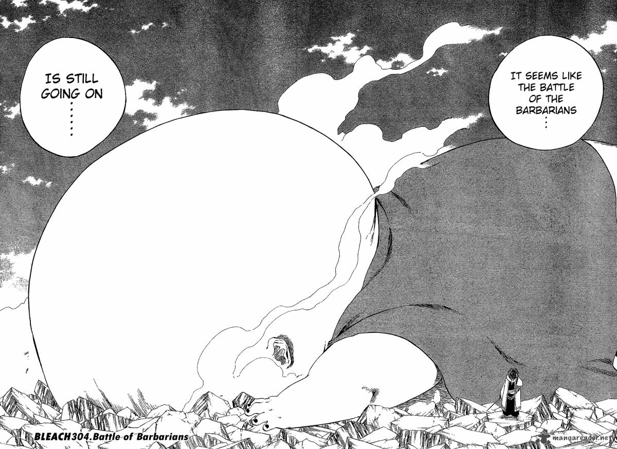 Bleach 304 11