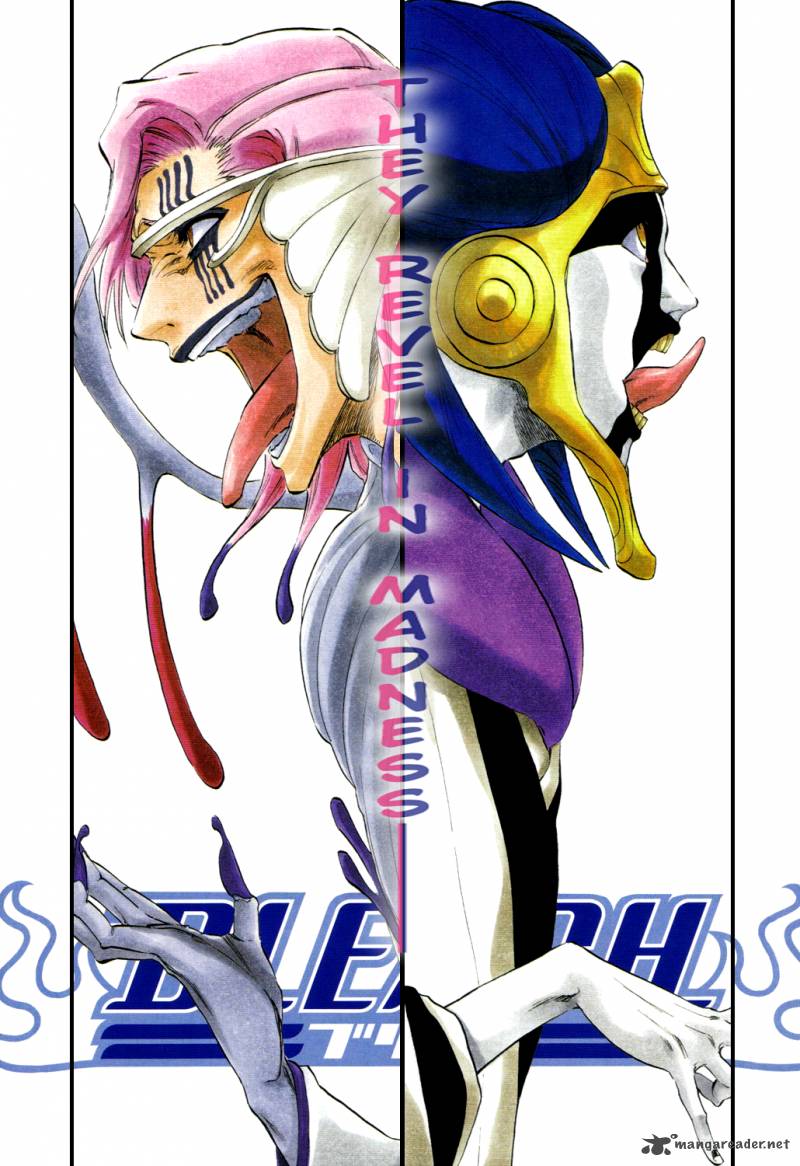 Bleach 304 3