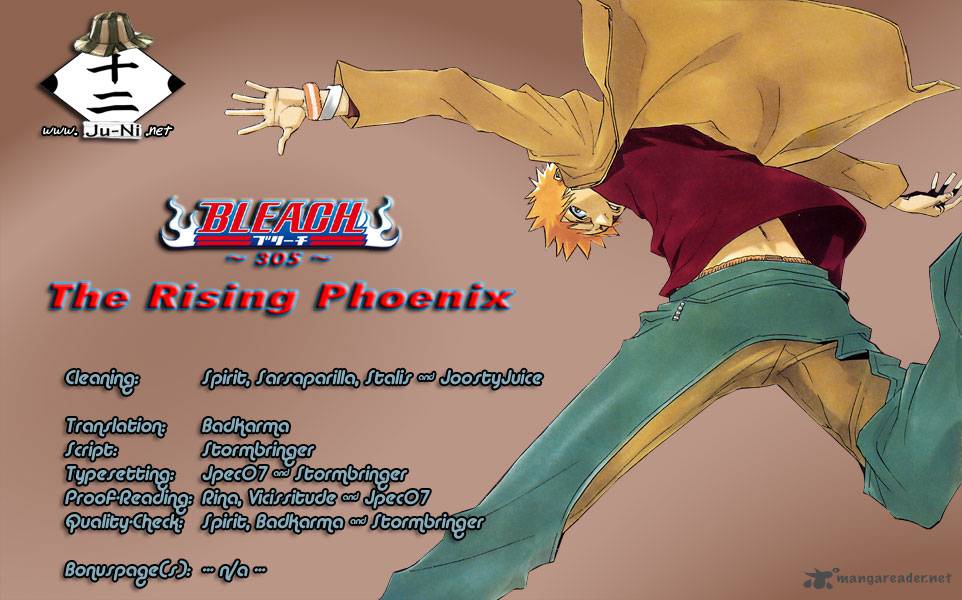 Bleach 305 1