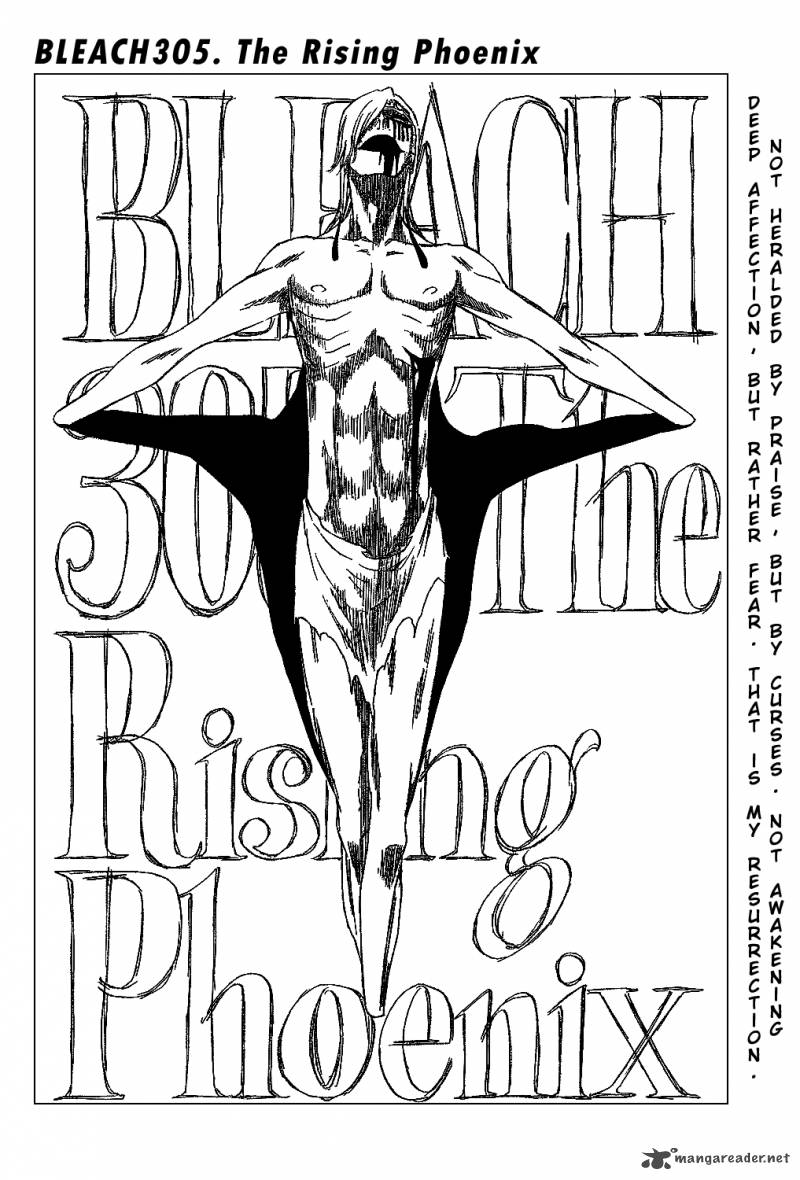 Bleach 305 6