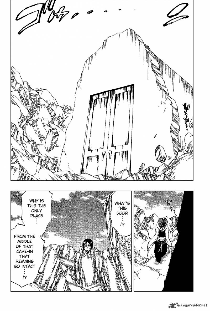 Bleach 306 17