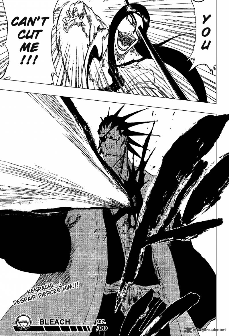 Bleach 307 22