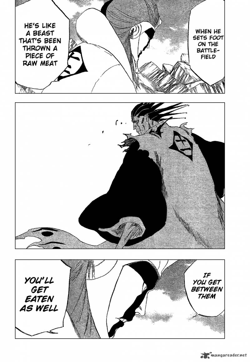Bleach 307 9