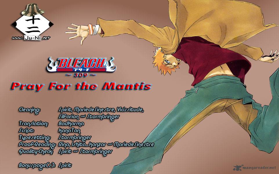 Bleach 309 1