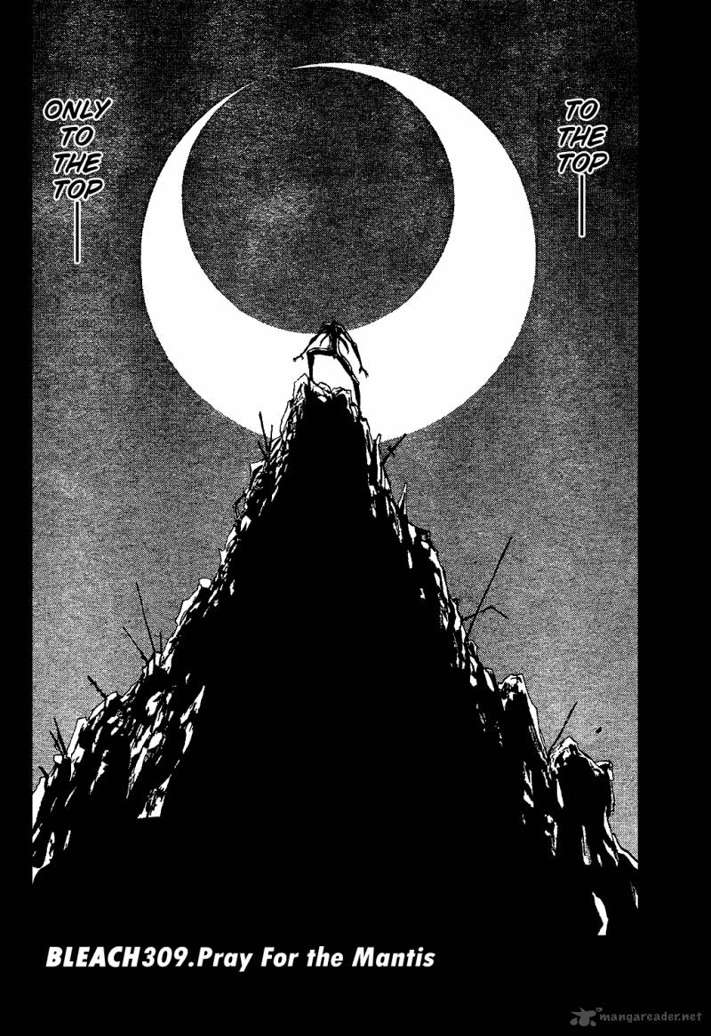 Bleach 309 11